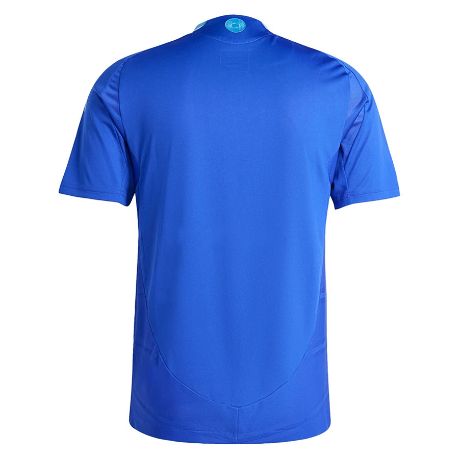 Men's Argentina Authentic Away Jersey 2024