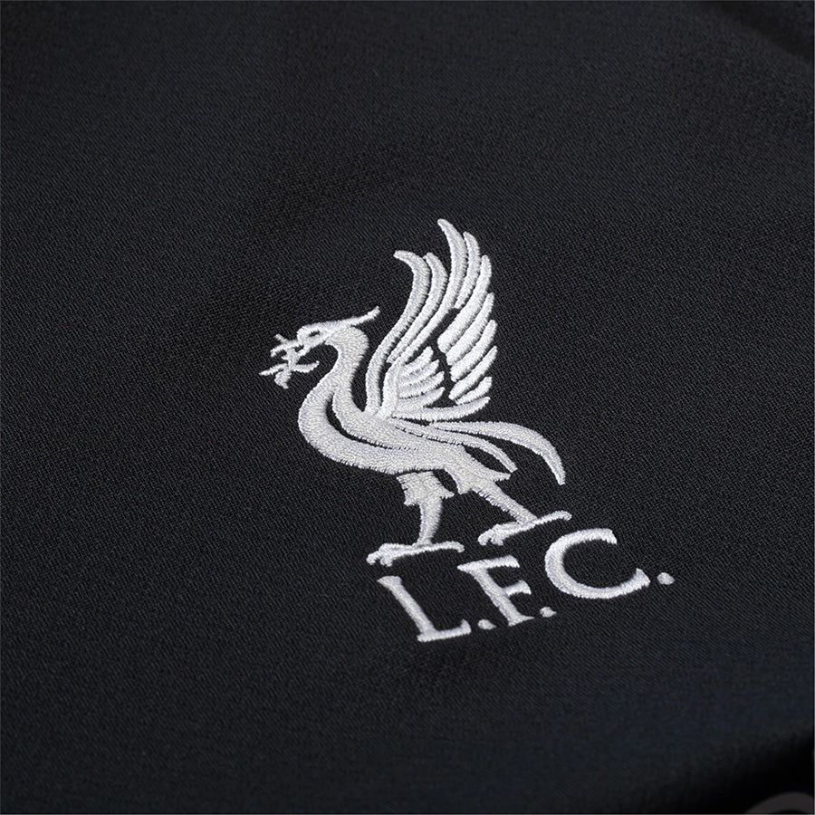 Men's Nike Liverpool Away Jersey 2024/25