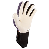 Nike Phantom Elite Goalkeeper Gloves